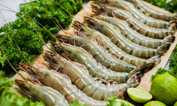 Headless Shell On Vannamei Shrimp (HLSO)