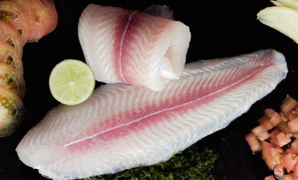 Pangasius fillet semi trimmed