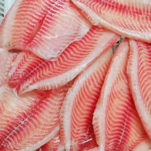 Red Tilapia