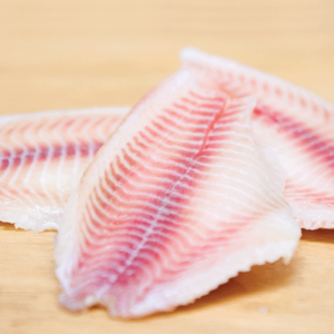 Tilapia