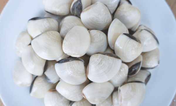 White Clam