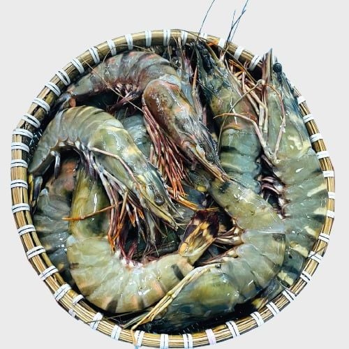 Black Tiger Shrimp